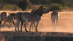 Denean,音乐短片,轻音乐 - On The Land