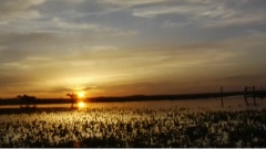 Rusty Truck - Cold Ground