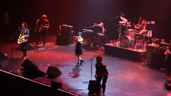 飞儿乐团 - 雨樱花