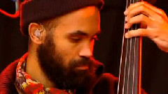 Fleet Foxes - Grown Ocean