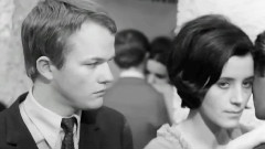 Summer Fiction - Chandeliers