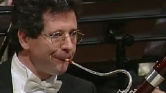 西洋乐（删除） - 图画展览会 第五幅画未出壳雏鸟的芭蕾舞