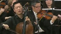 西洋乐（删除） - 寂静的森林