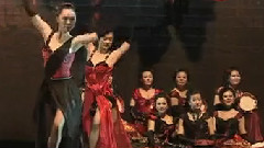 西洋乐（删除） - 茶花女