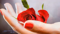 Giovanni Marradi,音乐短片 - My Love