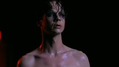 影视原声 - Hedwig's Lament