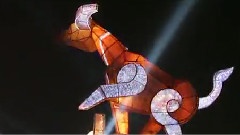 风景 - 2011AAC亚洲大会