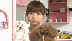 麻里子大人的聪明学堂 中文字幕 11/08/31