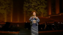 哀愁のからまつ林