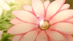 Pure Fragrance SD MAD