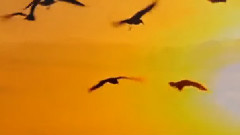 Stamatis Spanoudakis - Absences