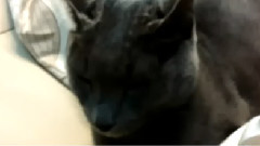 希澈Ins更新第二则