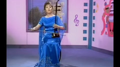 宋飞 - 二泉映月