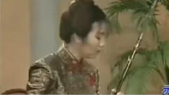 宋飞 - 二泉映月