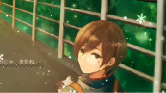 三毛猫とショートヘア