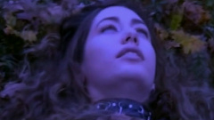 Path Of Transmigration