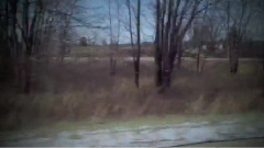 Eight Dollar Engagement Rings