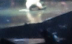 G-Dragon(BigBang) - Missing You