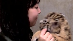 MBC 生机勃勃的动物园ii