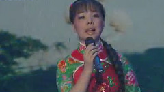 王二妮 - 翻身道情