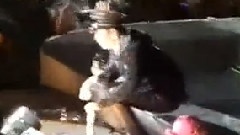 BigBang - Bad Boy & Fantastic Baby