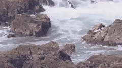 Shipwreck (Original Mix)