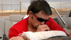 Bad Dreems - Hiding To Nothing