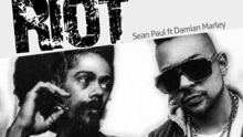 西恩·保罗 ,Damian Marley - Sean Paul - Riot
