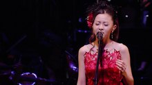 仓木麻衣 - 仓木麻衣-Symphonic Live