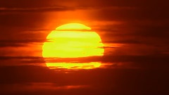 Sarah Brightman - Solo Con Te