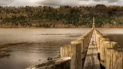 DAVE KOZ,音乐短片 - I Believe