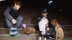 EXO's ShowTime EP2 KAI Cut