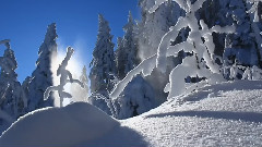 Kenny G - White Christmas