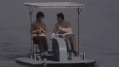 心心相印不分开