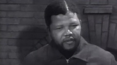 Stop Crying Your Heart Out