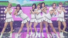 AOA - Heart Attack 现场版