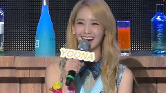 Banyan Tree Showcase