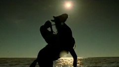 Massive Attack - Paradise Circus