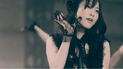 飞べないアゲハチョウ