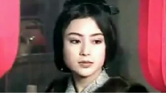 陈红 - 新龙门客栈