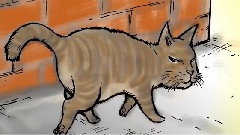 卓文萱 - 不要不要