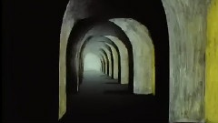 The Ravishing Of Frank N. Stein(弗兰克.史丹的狂迷)