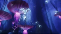 电影<阿凡达>OST