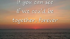 The Things We Never Did