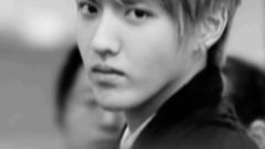 给予爱之金盏花