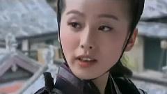 电视剧<怪侠一枝梅>