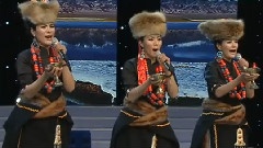 民乐群星 - 阿也瓦