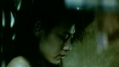 O Gente da Minha Terra