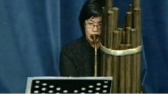 民乐群星 - 西北雨