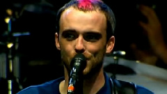 Flowers In The Window